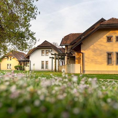 Terme Banovci - Hotelsko Naselje Zeleni Gaj Экстерьер фото